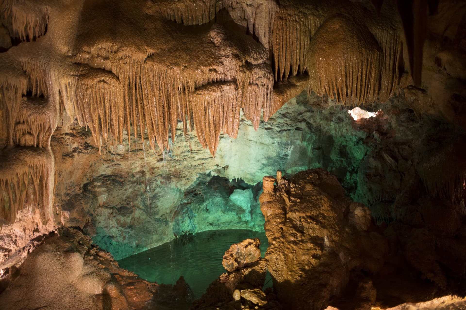 s slovenia postojna cave 1