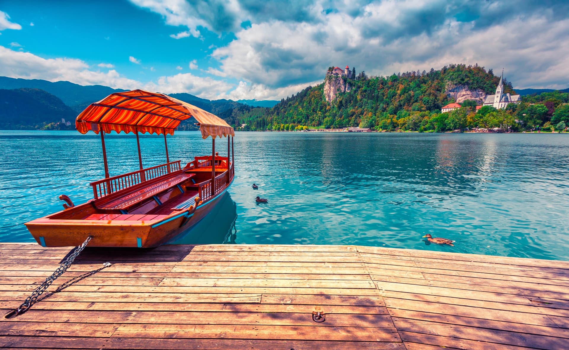 Bled Island