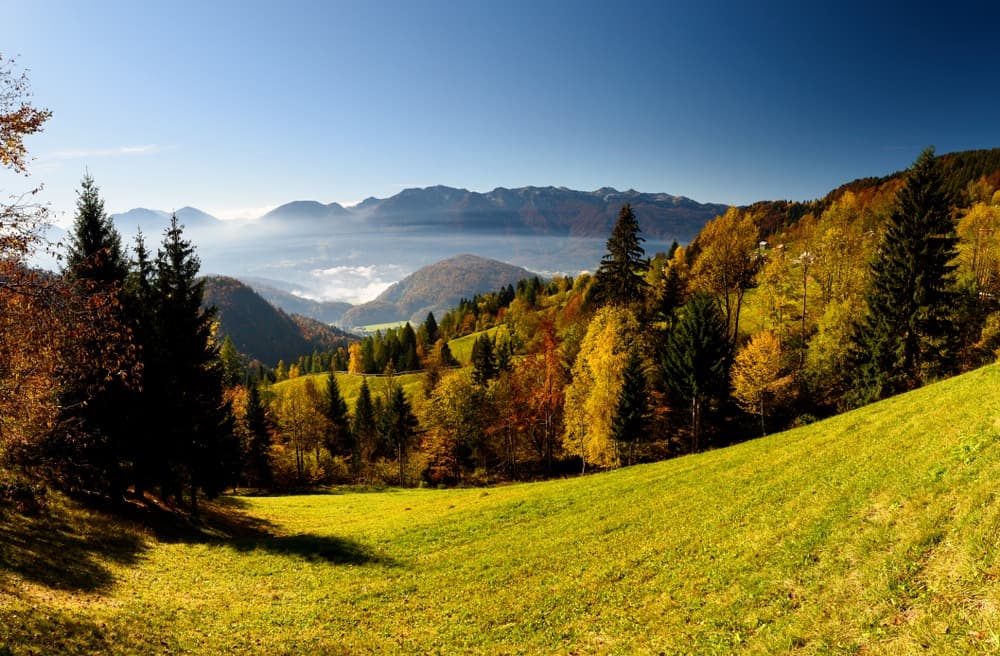 Pokljuka Plateau