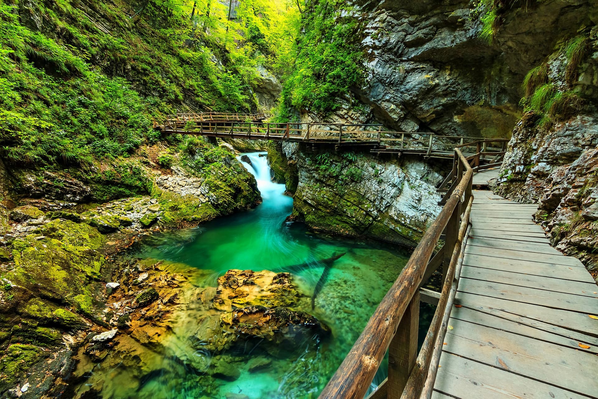 Vintgar Gorges